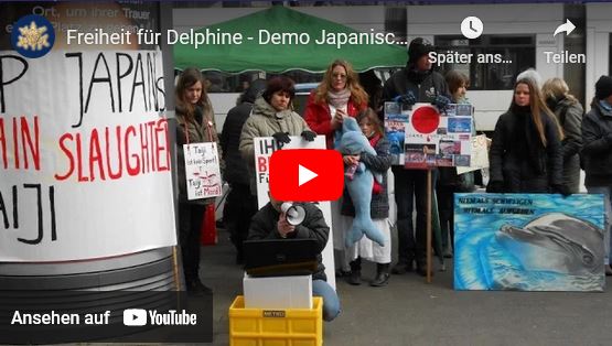 Freiheit für Delphine Düsseldorf